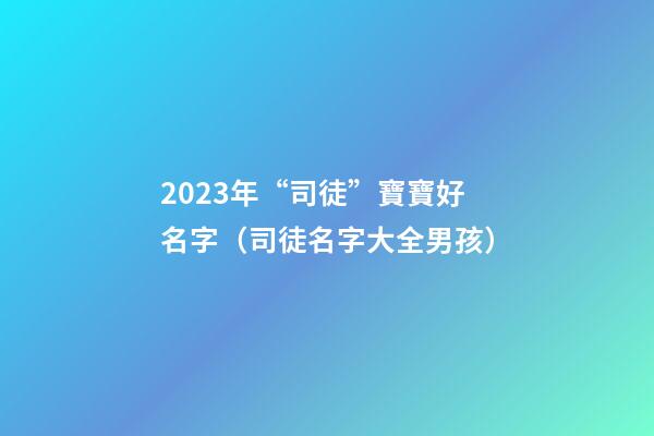 2023年“司徒”寶寶好名字（司徒名字大全男孩）