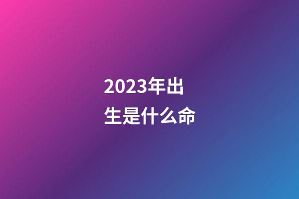 2023年出生是什么命