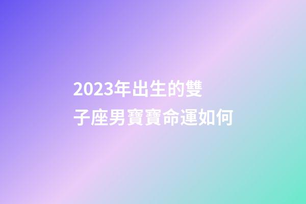 2023年出生的雙子座男寶寶命運如何-第1張-星座運勢-玄機派