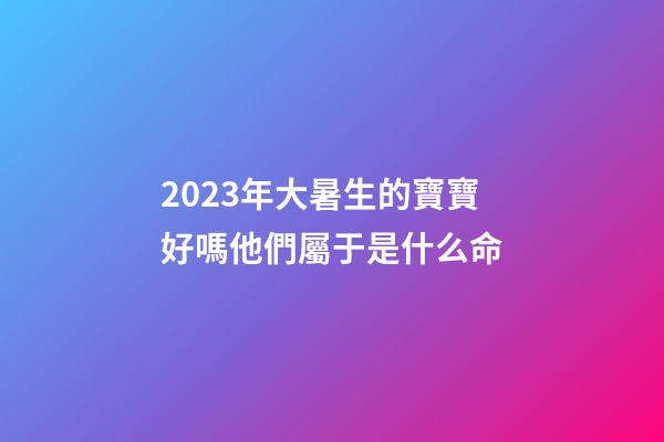 2023年大暑生的寶寶好嗎?他們屬于是什么命?