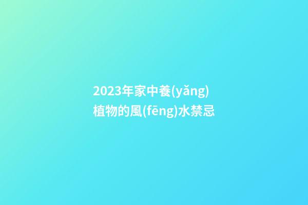 2023年家中養(yǎng)植物的風(fēng)水禁忌