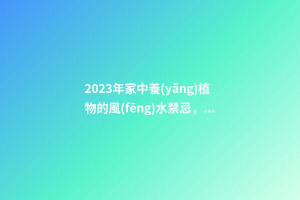 2023年家中養(yǎng)植物的風(fēng)水禁忌，最后一點(diǎn)很多人忽略了