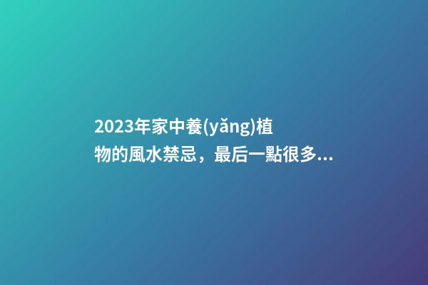 2023年家中養(yǎng)植物的風水禁忌，最后一點很多人忽略了