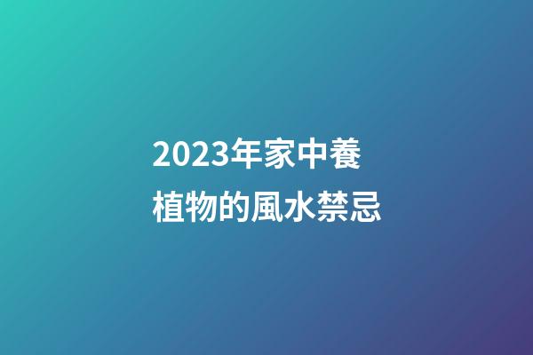 2023年家中養植物的風水禁忌