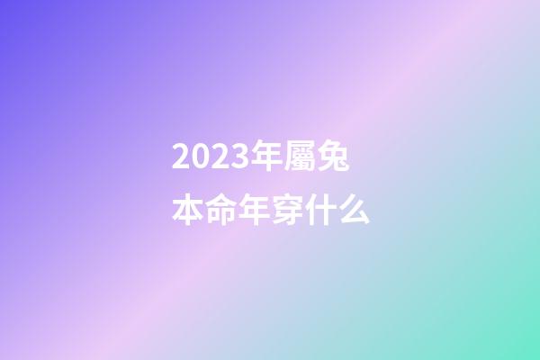 2023年屬兔本命年穿什么(甜蜜七夕!英媒：F1帥哥續(xù)約后第一時(shí)間通知中國女友，異地戀多年)-第1張-觀點(diǎn)-玄機(jī)派