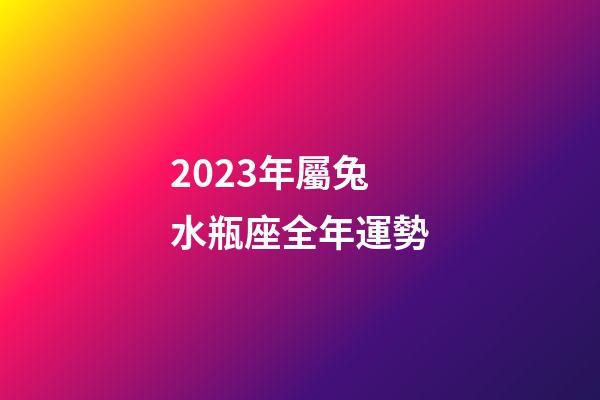 2023年屬兔水瓶座全年運勢-第1張-星座運勢-玄機派