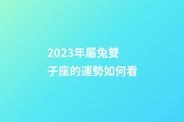 2023年屬兔雙子座的運勢如何看-第1張-星座運勢-玄機派