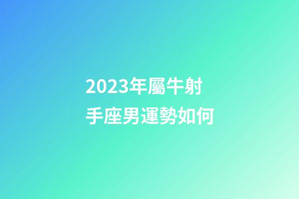 2023年屬牛射手座男運勢如何-第1張-星座運勢-玄機派