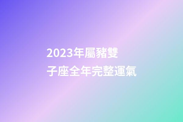 2023年屬豬雙子座全年完整運氣-第1張-星座運勢-玄機派