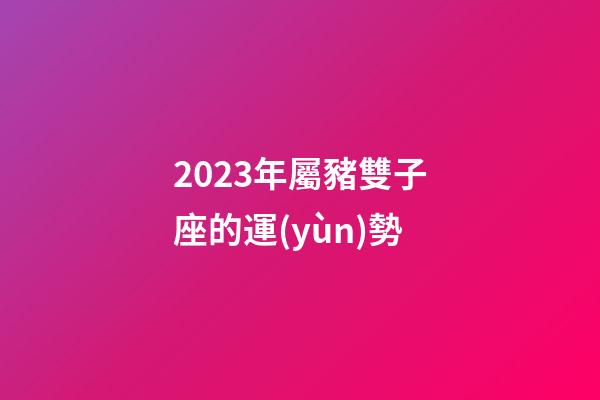 2023年屬豬雙子座的運(yùn)勢-第1張-星座運(yùn)勢-玄機(jī)派