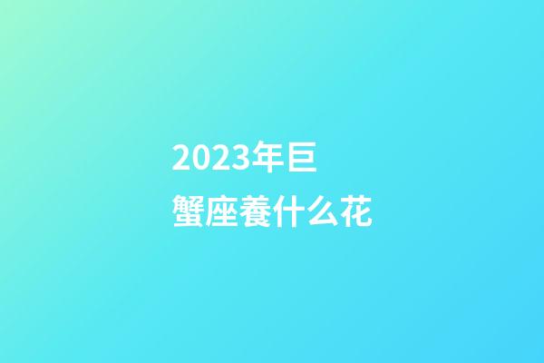 2023年巨蟹座養什么花-第1張-星座運勢-玄機派
