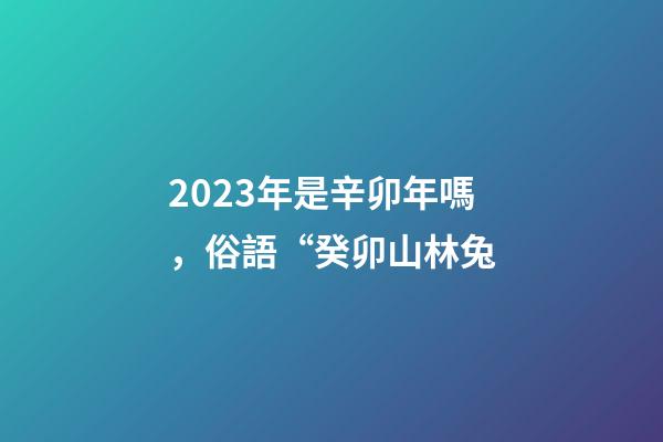 2023年是辛卯年嗎，俗語“癸卯山林兔-第1張-觀點-玄機派