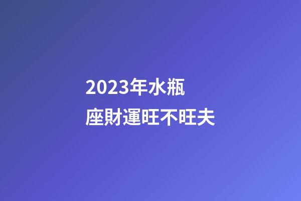 2023年水瓶座財運旺不旺夫-第1張-星座運勢-玄機派