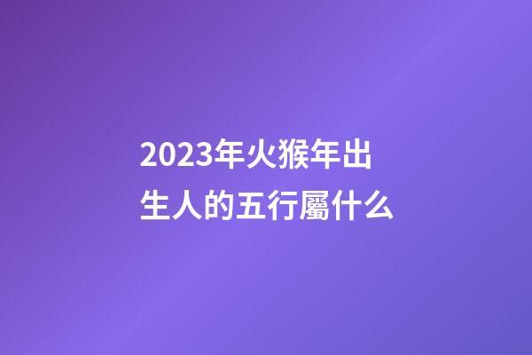 2023年火猴年出生人的五行屬什么