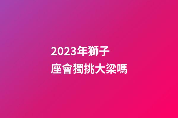 2023年獅子座會獨挑大梁嗎-第1張-星座運勢-玄機派