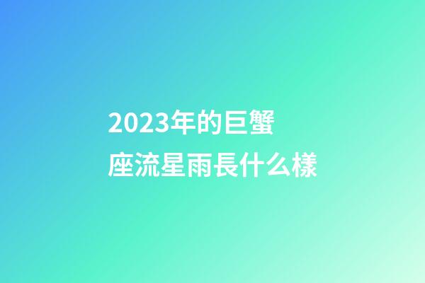 2023年的巨蟹座流星雨長什么樣-第1張-星座運勢-玄機派
