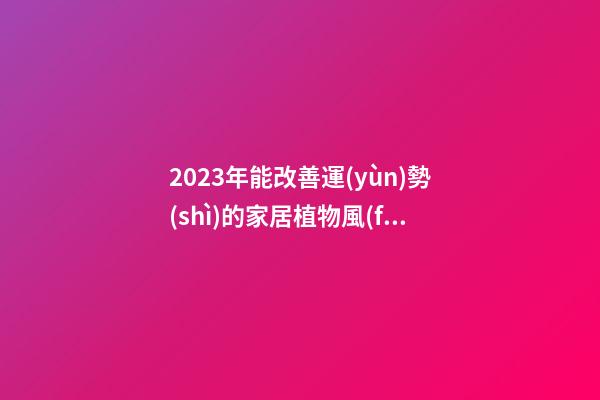 2023年能改善運(yùn)勢(shì)的家居植物風(fēng)水