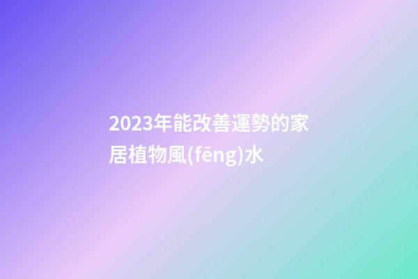 2023年能改善運勢的家居植物風(fēng)水