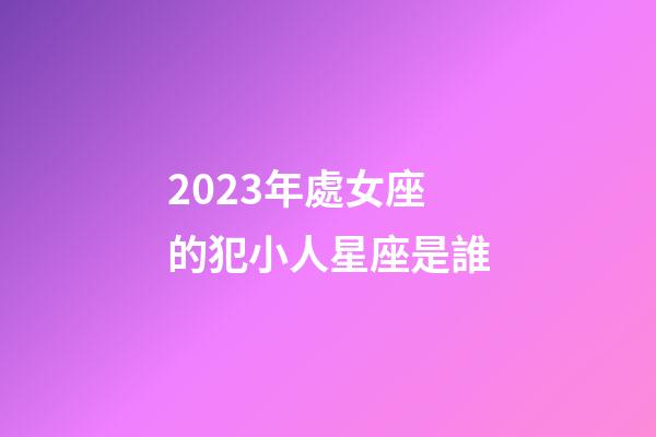 2023年處女座的犯小人星座是誰-第1張-星座運勢-玄機派