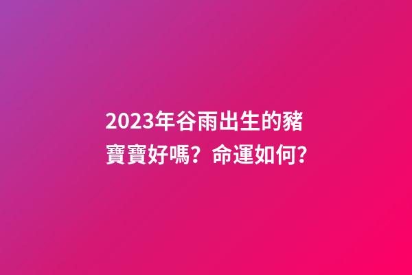 2023年谷雨出生的豬寶寶好嗎？命運如何？