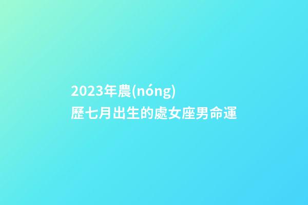 2023年農(nóng)歷七月出生的處女座男命運-第1張-星座運勢-玄機派