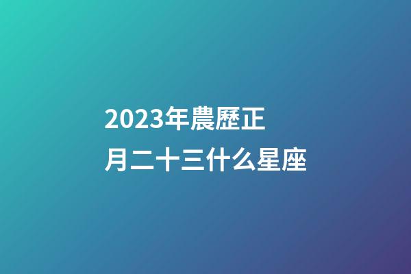 2023年農歷正月二十三什么星座-第1張-星座運勢-玄機派