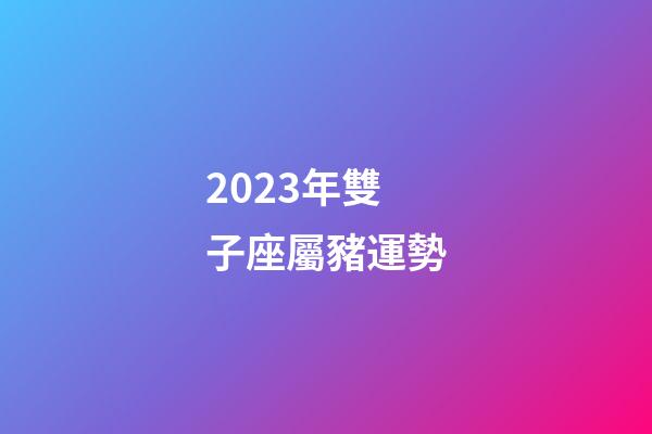 2023年雙子座屬豬運勢-第1張-星座運勢-玄機派