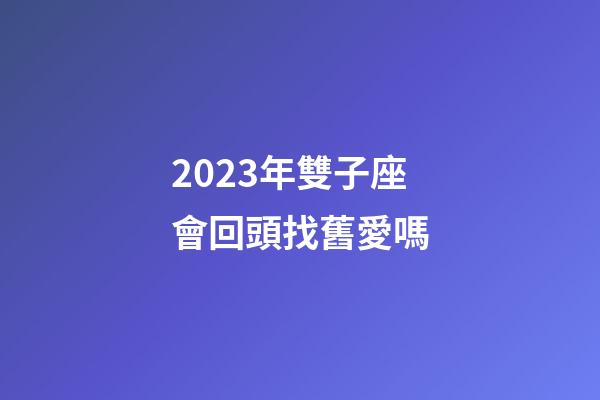 2023年雙子座會回頭找舊愛嗎-第1張-星座運勢-玄機派