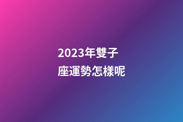 2023年雙子座運勢怎樣呢-第1張-星座運勢-玄機派