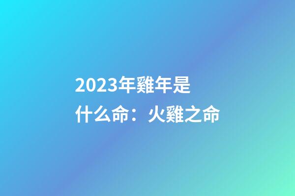 2023年雞年是什么命：火雞之命
