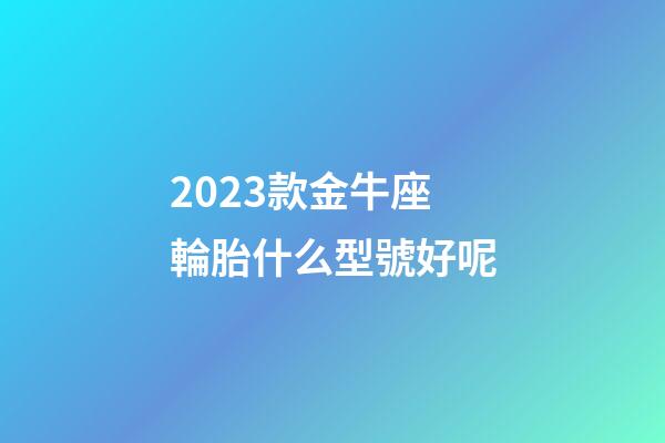 2023款金牛座輪胎什么型號好呢