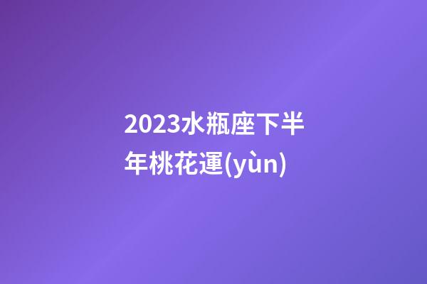 2023水瓶座下半年桃花運(yùn)-第1張-星座運(yùn)勢-玄機(jī)派