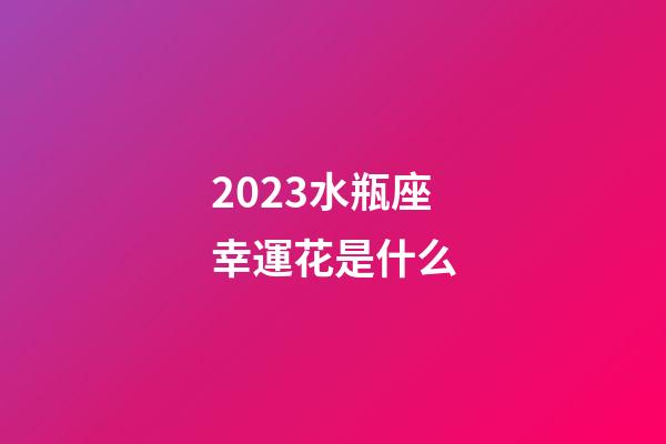 2023水瓶座幸運花是什么-第1張-星座運勢-玄機派