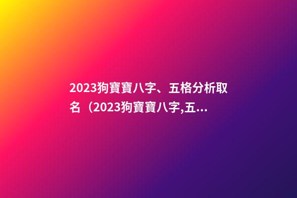 2023狗寶寶八字、五格分析取名（2023狗寶寶八字,五格分析取名吉兇）