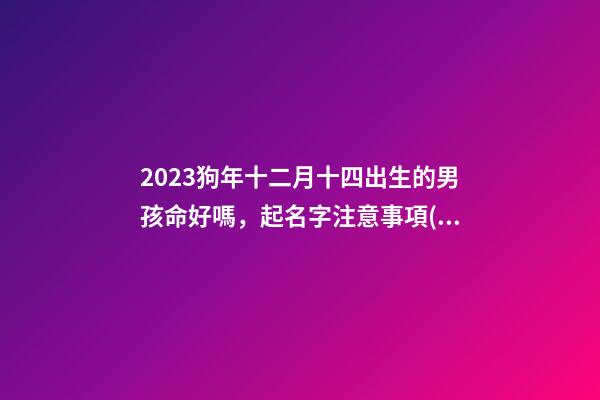 2023狗年十二月十四出生的男孩命好嗎，起名字注意事項(xiàng)