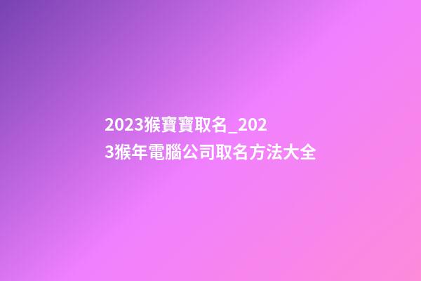 2023猴寶寶取名_2023猴年電腦公司取名方法大全-第1張-公司起名-玄機派