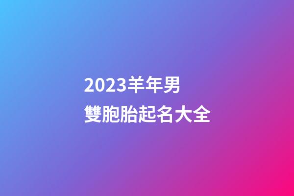 2023羊年男雙胞胎起名大全