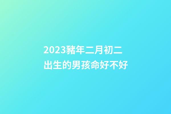 2023豬年二月初二出生的男孩命好不好