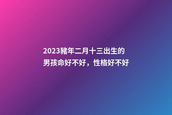 2023豬年二月十三出生的男孩命好不好，性格好不好