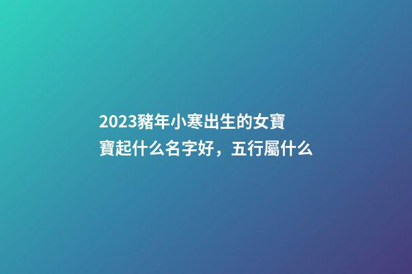 2023豬年小寒出生的女寶寶起什么名字好，五行屬什么