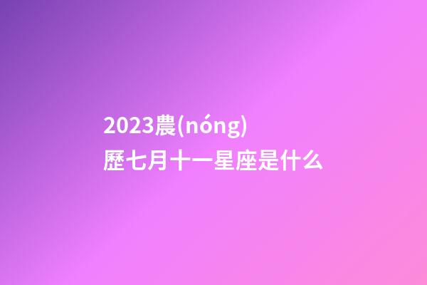 2023農(nóng)歷七月十一星座是什么-第1張-星座運勢-玄機派