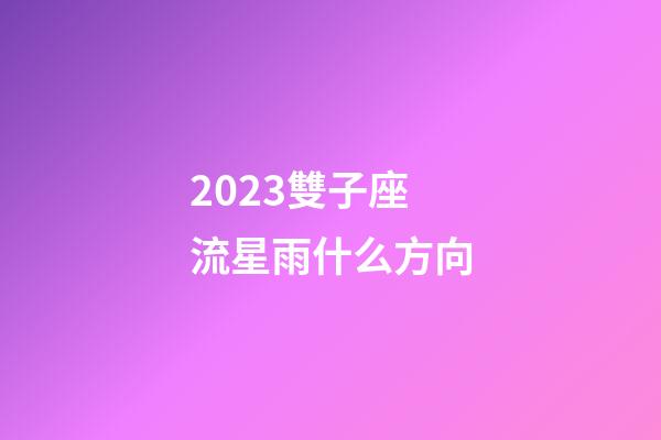 2023雙子座流星雨什么方向-第1張-星座運勢-玄機派