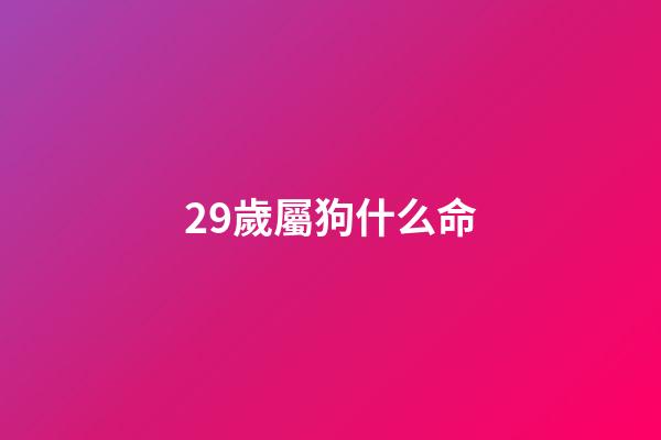 29歲屬狗什么命(父母屬狗孩子屬什么好 屬狗的父母生什么寶寶)-第1張-觀點-玄機派