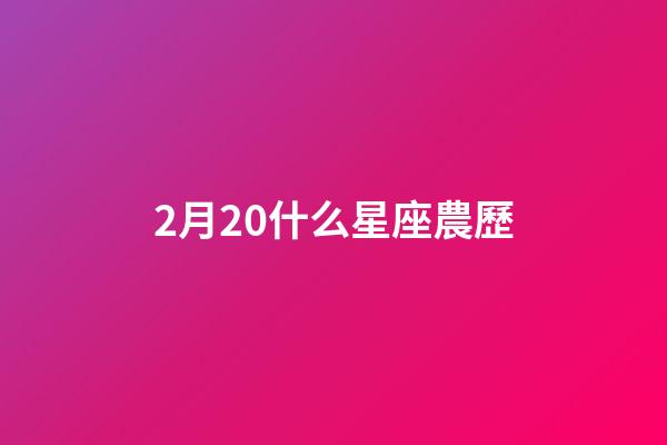2月20什么星座農歷-第1張-星座運勢-玄機派