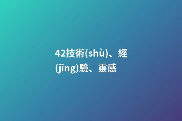 42.技術(shù)、經(jīng)驗、靈感