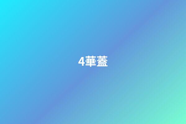 4.華蓋