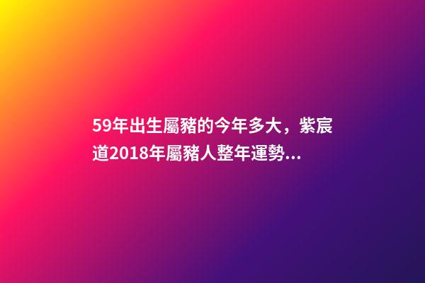 59年出生屬豬的今年多大，紫宸道2018年屬豬人整年運勢解析-第1張-觀點-玄機派