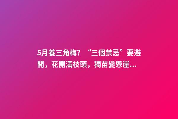 5月養三角梅？“三個禁忌”要避開，花開滿枝頭，獨苗變懸崖老樁