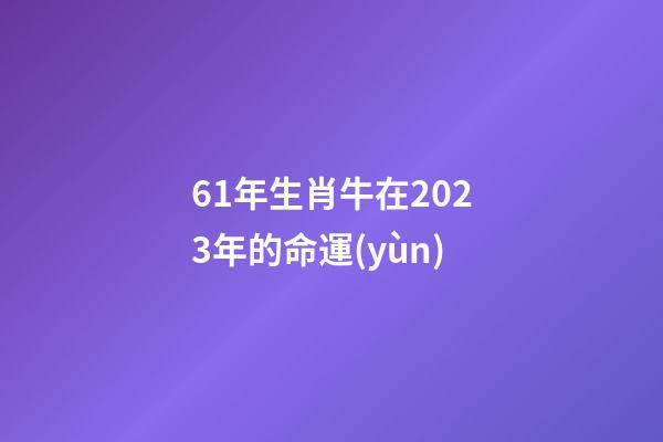 61年生肖牛在2023年的命運(yùn)(自帶“財(cái)庫(kù)”，“財(cái)氣”大通的3大生肖)-第1張-觀點(diǎn)-玄機(jī)派