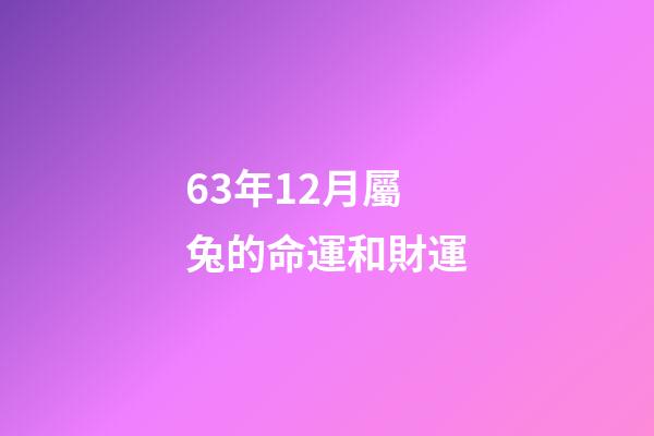 63年12月屬兔的命運和財運(63 64 65生肖今年的財運)-第1張-觀點-玄機派